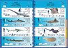 Guia de especies del Mediterráneo