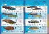Guia de especies del Mediterráneo