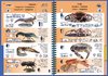 Guia de especies del Atlántico Este