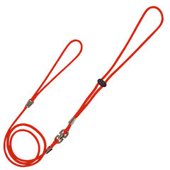 Collar-Correa Nylon (140 x 0,7)