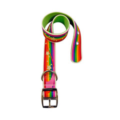Collar 2D Rainbow