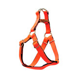 Arnés Nylon Bicolor