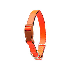 Collar Nylon Bicolor