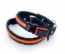 Collar Solar Luminoso