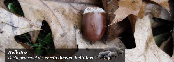 Santa Elena Embutidos