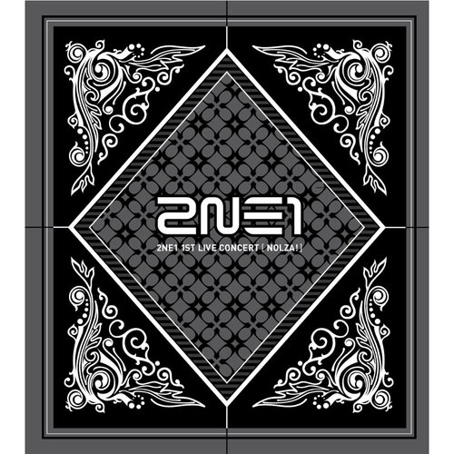 2NE1 1st Live Concert - NOLZA! (2DVD + Photobook)